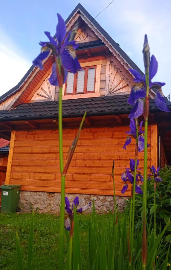 Muran1 Bukowina Tatrzańska Exterior foto